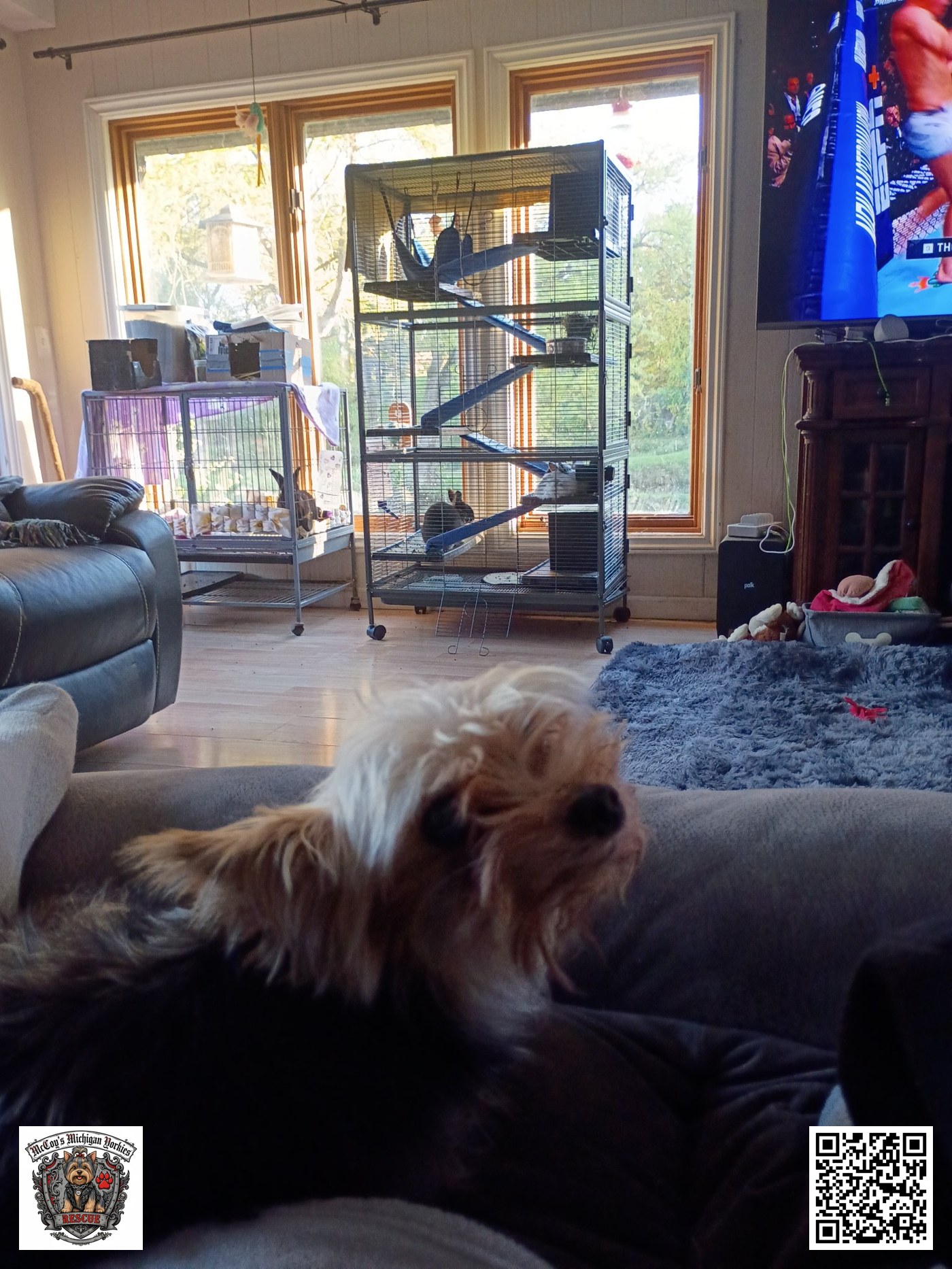 Little Bit turning to look at Eric from his spot on the couch